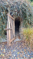 Mysterious Wooden Doorway Surrounded Lush Greenery Nature Scene