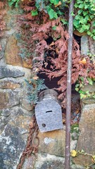 Rustic Wooden Mailbox Surrounded by Vibrant Greenery and Stone Wall