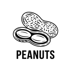 Hand drawn illustration of two peanuts one cracked open showing kernels