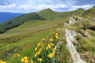 Polonina Wetlinska in Bieszczady Mountains, Poland