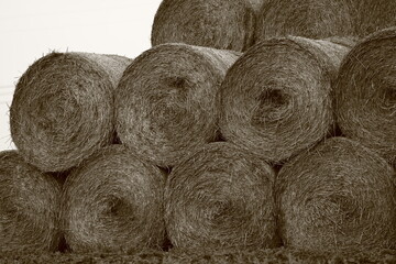 Stacked Round Hay Bales on Farmland in sepia tone