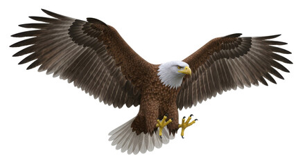 Fototapeta premium Majestic bald eagle with wings spread wide in flight talons extended isolated on transparent background