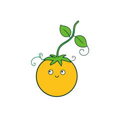 vector illustration of an orange