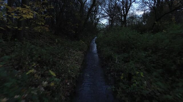 Drone flight iver a forest stream and small bridge at dusk