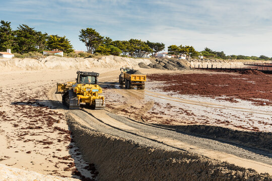 Travaux de protection et de renforcement de la dune pour lutter contre l'&eacute;rosion c&ocirc;ti&egrave;re par apport de sable, le 06 novembre 2025 &agrave; la Gu&eacute;rini&egrave;re, plage de la Court, &icirc;le de Noirmoutier.