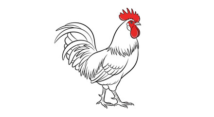 Contour illustration of a standing rooster with a vibrant red comb and wattle