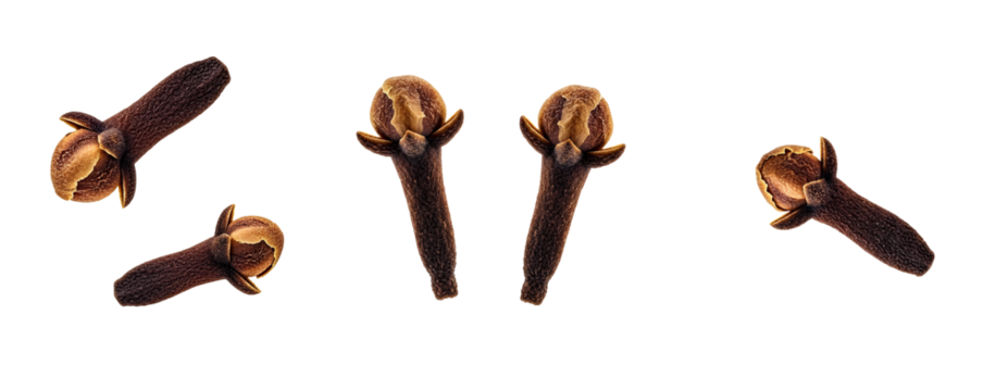 Clove Collection set PNG. Assorted aromatic spice buds, ideal for holiday baking, festive beverages and spice blends isolated. Organic whole cloves set PNG