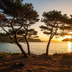 Golden hour illuminates a serene coastal landscape with iconic towering trees swaying gently in the balmy breeze overlooking peaceful waters ,vacation ,peaceful ,adventure