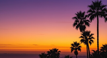 Golden hour light illuminates a serene sky, featuring graceful palm tree silhouettes against hues of orange, pink, and purple, perfect for peaceful imagery ,clouds ,glow ,escape
