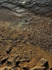 footprints in the sand