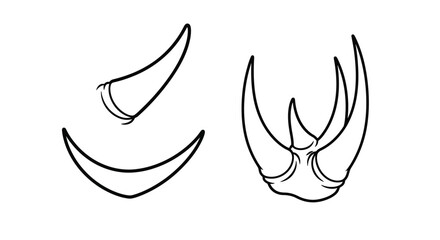 A pair of horns shown in two different angles side  