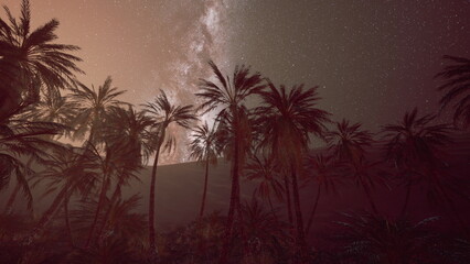 Obraz premium Stars twinkle brightly in the vast night sky as tall palm trees stand gracefully against the backdrop of a peaceful desert. A sense of calm fills the atmosphere.