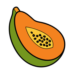vector illustration of an orange fruit