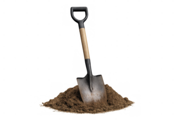 Shovel with a d-handle and wooden shaft standing in a mound of brown earth, representing digging activities