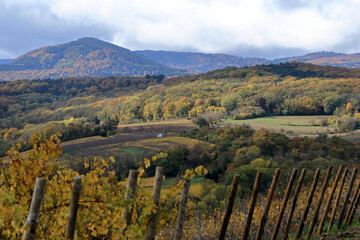 Alsace, R&eacute;gion de Barr