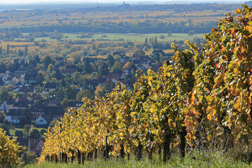 Alsace, R&eacute;gion de Barr