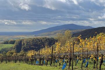 Alsace, R&eacute;gion de Barr