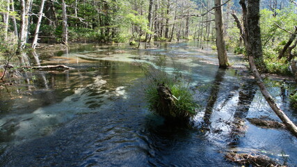 上高地の川