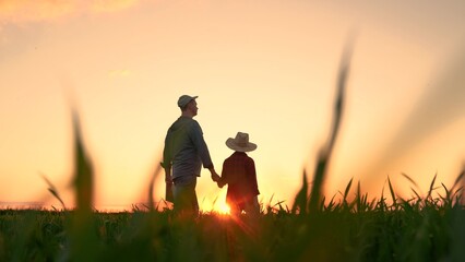 Father kid son holding hands in field. Corn growing organic. Family farming business. Agricultural industry. Father child walking through field, sky. Boy kid, dad walking hand in hand, corn sprouting