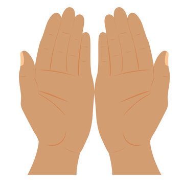 Women's hands, palms up, vector drawing. Human hands on a white background.