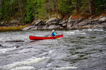 Young woman paddling a red canoe through a rapid solo on the Madawaska River in Ontario in fall room for text