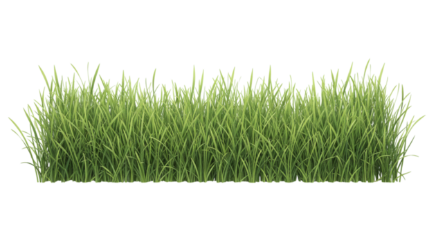 Lush green grass growing, isolated on transparent background, perfect for landscaping