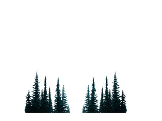 Obraz premium Snow covered pine tree winter forest cold landscape evergreen frosty tranquil nature outdoor seasonal peaceful scene with snow dusted pine trees and serene winter atmosphere