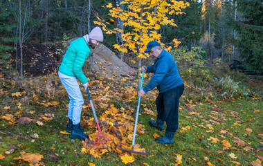 Two people raking leaves in a garden during autumn. One is a young woman with brown hair, wearing a green jacket. The other is a senior man with gray hair, wearing a blue sweater.