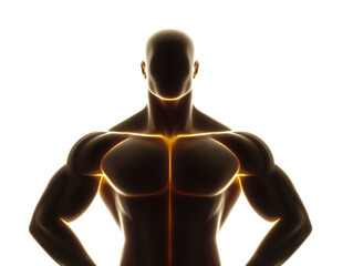 Fototapeta premium Muscular male torso illustration with glowing golden highlights, athletic build, strong chest, defined arms, fitness concept, modern digital art, confident pose