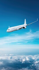 Fototapeta premium airplane in the sky