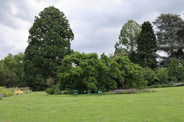 Blick in die Altstadt von Weinheim in Baden-Württemberg	