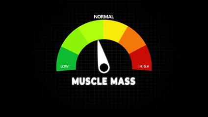 Animated muscle mass meter decreasing from normal to low level, ideal for concepts related to low muscle mass, muscle loss and fitness