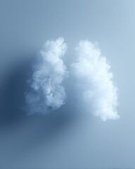 lungs made of clouds symbolizing clean air and respiratory health