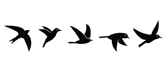 Silhouette of flying birds on transparent background.