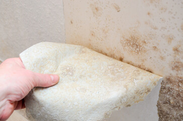 Removing moldy wallpaper reveals underlying water damage and potential health hazards
