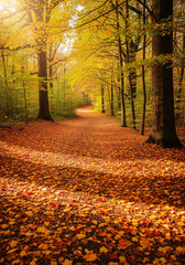 Obraz premium Golden Autumn Forest Path