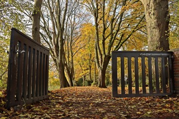 Blick durch das Friedhofstor auf den Friedhof von Leybuchtpolder im Herbst