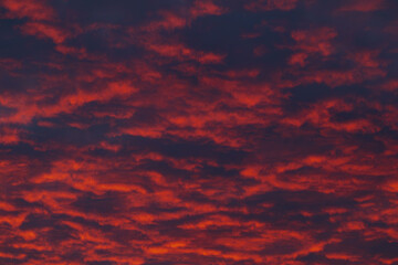 Fototapeta premium Fiery Red Clouds at Dramatic Sunset Sky