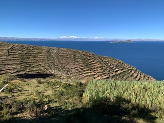 Panoramic view from Isla del Sol (Island of the sun) over agricultural terraces, Lake Titikaka in Bolivia to andean mountain ridge of Cordillera Real with snow covereded peaks and glaciers.