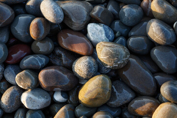 Pebbles round wet smooth colorful stones on sea beach illuminated by morning sun as texture spa background for page design template.