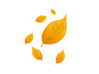 Golden leaf illustration autumn foliage isolated on transparent background decorative seasonal design vibrant yellow color natural element falling leaves elegant and artistic style