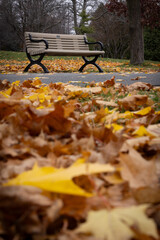 Banc de parc à l'automne, jour, vertical