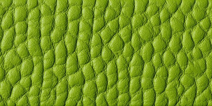 Close up of green textured natural leather Colored Fabric Leather folded and luminated under moving Light, making epic amazing shadows on textured background.