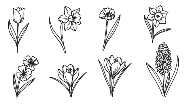 Black outline drawings of various spring flowers including tulip, daffodil, and hyacinth arranged in a row, each showcasing distinct shapes and petal arrangements.
