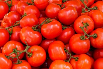 red tomatoes background