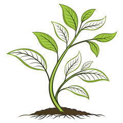Illustration of a flourishing plant with green leaves, , representing growth and vitality
