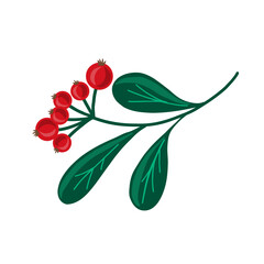 Vector branch with red berries and green leaves. Winter floral botanical illustration, perfect for Christmas decor, cards, invitations, scrapbooking, festive projects, natural design