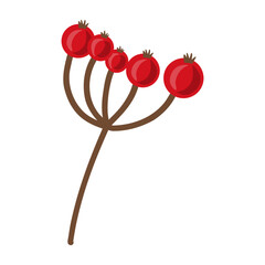 Rosehip twig with five bright red berries on brown stems. Simple botanical autumn or Christmas element for cards, health, nature designs, seasonal decor, and herbal projects.