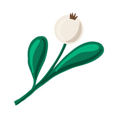 Vector branch with white berry and green leaves. Snowberry or mistletoe illustration, ideal for winter, Christmas decor, invitations, botanical projects, cards, logos, and seasonal design