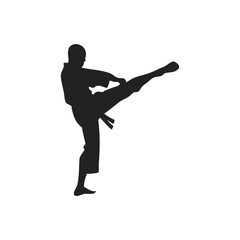 silhouette of a martial artist